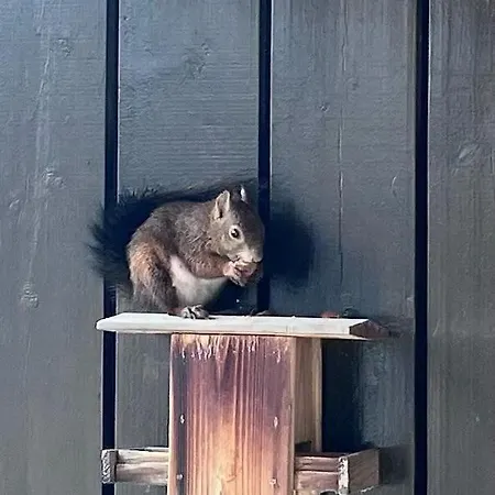 Grand Duplex Ensoleille, Foret Cheminee דירה Font-Romeu-Odeillo-Via