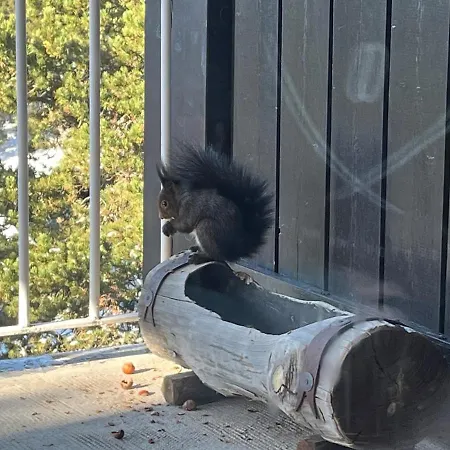 דירה Grand Duplex Ensoleille, Foret Cheminee *