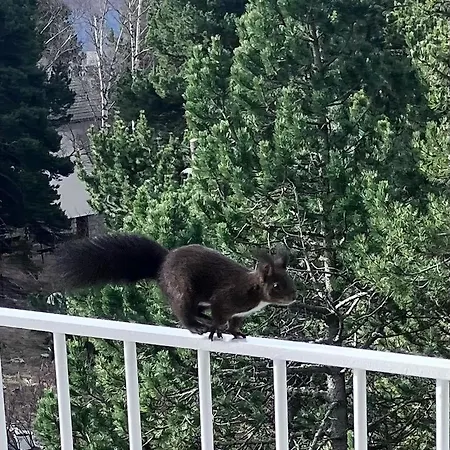 דירה Grand Duplex Ensoleille, Foret Cheminee Font-Romeu-Odeillo-Via