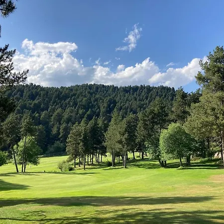 Grand Duplex Ensoleille, Foret Cheminee